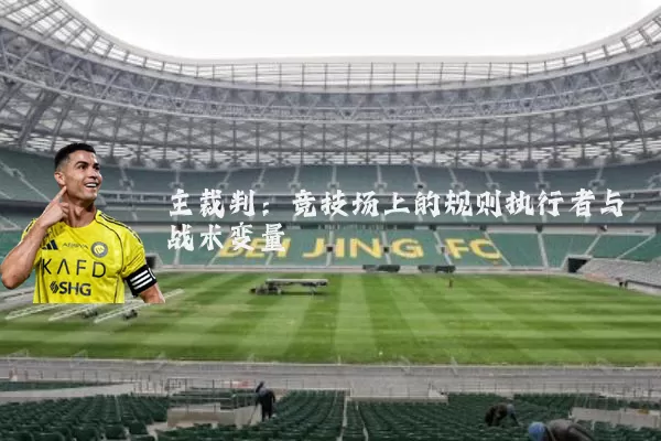 主裁判：竞技场上的规则执行者与战术变量