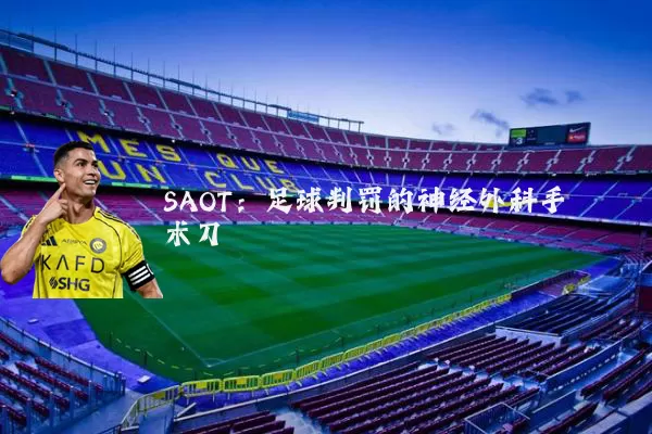 SAOT:足球判罚的神经外科手术刀
